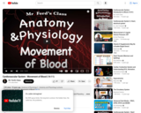 The Cardiovascular System : Movement of Blood (14:11)