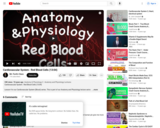 The Cardiovascular System : Red Blood Cells (13:04)