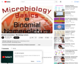 Binomial nomenclature : Microbiology Basics