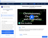 Biology: Chromosomes, Chromatids, Chromatin, etc.