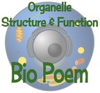 Organelle Bio Poem Lesson Plan