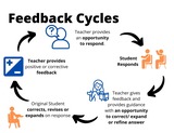 Feedback and Feedback Cycles