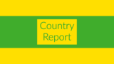 Lesson Plan for Lucid Country Report