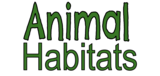 Animal Habitats Lesson Plan