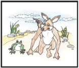 Coyote and Frog Race  Lesson Plan