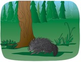 The Greedy Porcupine: A Shoshone Tale