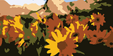 Paint by Number: Utah Wildflowers