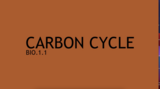 HawkWatch Carbon Cycle: Teacher Tutorial BIO.1.3