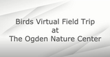 Ogden Nature Center: Birds Virtual Field Trip