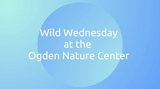Wild Wednesdays: Fathers in Nature