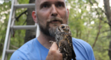 Phenomena Videos: Following Forest Owls