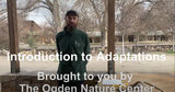 Ogden Nature Center: Introduction to Adaptations