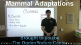 Ogden Nature Center: Adaptations - Mammals