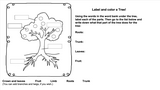 Ogden Nature Center: Parts of a Tree Worksheet