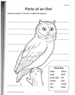 Ogden Nature Center: Parts of an Owl Worksheet