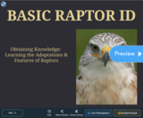 Basic Raptor ID