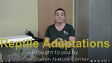 Ogden Nature Center: Adaptations: Reptiles