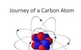 BIO.1.3: Episode 2 - A Ride on the Carbon Cycle - Journey of a Carbon Atom