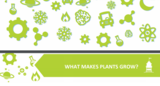 1.2.1 Lesson Plan - What Makes Plants Grow
