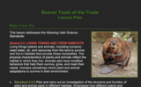 Beaver Tools of the Trade 2.2.2 - Lesson Plan
