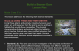 Build a Beaver Dam 2.2.2 & 2.2.4 - Lesson Plan