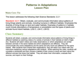 Patterns in Adaptations 2.2.1 - Lesson Plan
