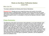 Pollination Station 2.2.3 - Lesson Plan