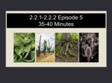 SEEd Storylines Nearpod (DSD) 2.2.1-2.2.2E.5