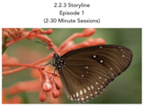 SEEd Storylines Nearpod (DSD) 2.2.3E.1