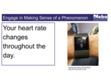 BIO.2.7 Homeostasis and Changes in Heart Rate