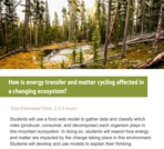 How is energy transfer and matter cycling affected in a changing ecosystem?