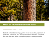 What is the future of a forest under attack?