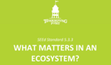 5.3.3 Lesson Plan - What Matteres in an Ecosystem