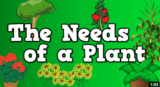 The Needs of a Plant song for kids