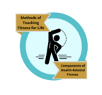 Components of Health-Related Fitness