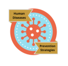 Disease Prevention Strategies