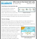 5th Grade Article: Who Lives at the Great Salt Lake?