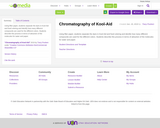 Chromatography of Kool-Aid