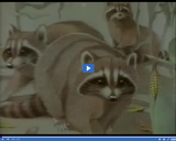 Reading Rainbow: Raccoons and Ripe Corn; Deer at the Brook; Come Out Muskrats Part 01