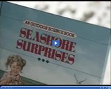 Reading Rainbow: Seashore Surprises Part 01