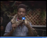 Reading Rainbow: The Day Jimmy's Boa Ate the Wash Part 02