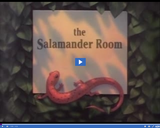 Reading Rainbow: The Salamander Room Part 01