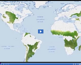 Exploring Grassland Biomes: Grasslands in world