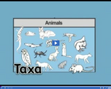 Classifying Life: Taxa