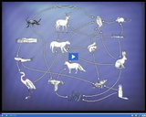 Ecosystem Dynamics: Food web simple