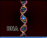 Evidence of Change: DNA