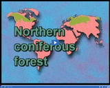 Forests: Forest locations