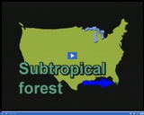 Forests: Subtropical forest