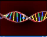 Genetics in Our Lives: DNA molecule