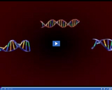 Genetics in Our Lives: Recombinant DNA